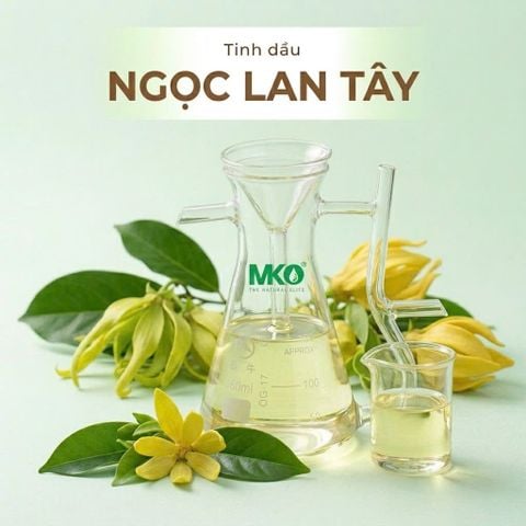 Tinh dầu Ngọc Lan Tây * * * Ylang YLang