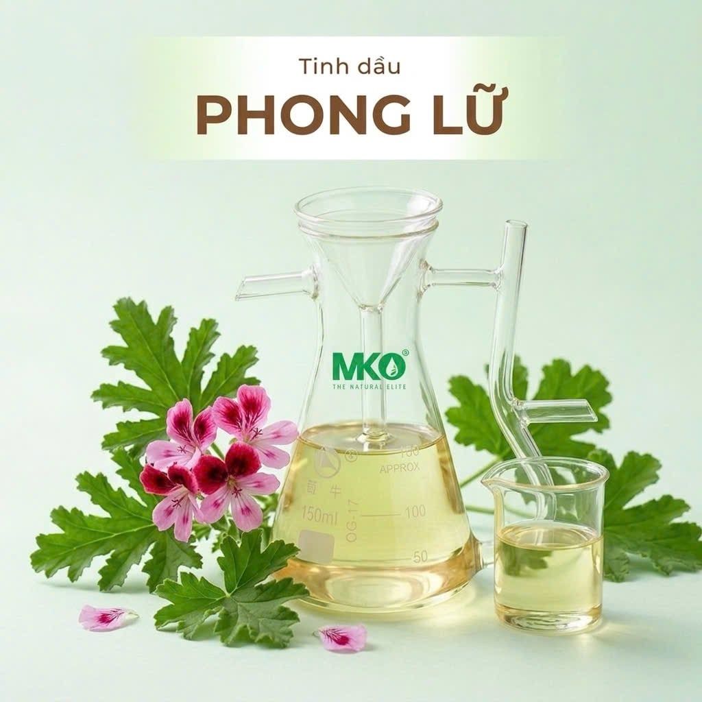 Tinh dầu Phong Lữ *** pelargonium gravolens