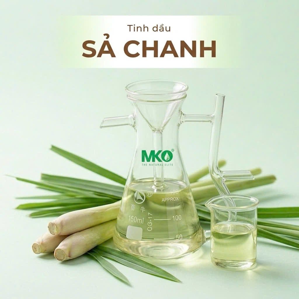 Tinh Dầu Sả Chanh * * * Lemongrass