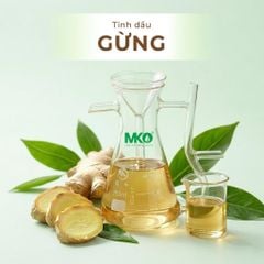 Tinh Dầu Gừng *** Ginger
