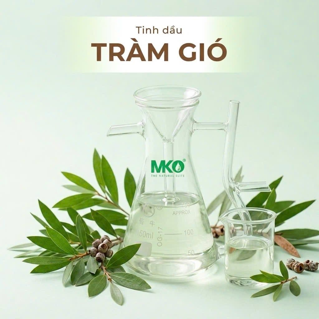 Tinh Dầu Tràm Gió * * * Cajeput