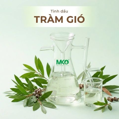 Tinh Dầu Tràm Gió * * * Cajeput