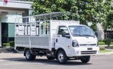  KIA K250L - MUI BẠT 