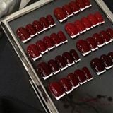  Set Gel Màu Suusee 10 chai 