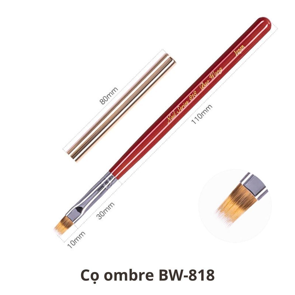  Cọ Nail BW-818, 819, 820, 821, 823 