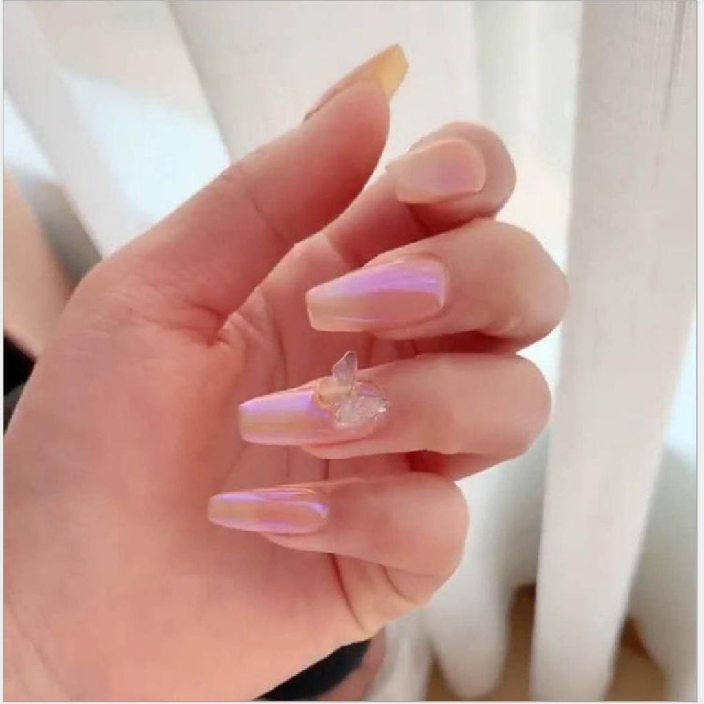  Set Trang Trí Khổng Tước (6 Ô) 