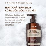  Dầu gội - xả cân bằng tự nhiên Kundal Honey & Maca 500ml 