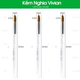  Cọ đắp bột nail cán trong BW-12, 14, 18 