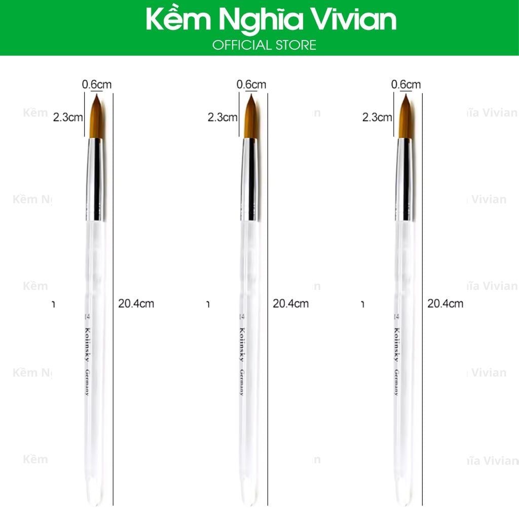  Cọ đắp bột nail cán trong BW-12, 14, 18 