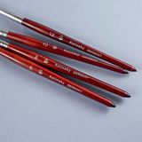  Cọ đắp bột nail BW-8, 10,12 