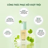  Tinh chất cấp ẩm làm dịu da cho da mụn, nhạy cảm Dewdap 50ml 