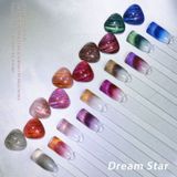  Set Gel Mắt Mèo Ánh Sao Cực Quang Vinimay 10 chai 