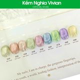  Set Gel Danny Coll N11 9 chai 