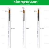  Cọ đắp bột nail cán trong BW-12, 14, 18 