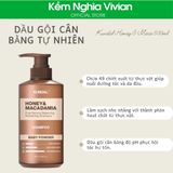  Dầu gội - xả cân bằng tự nhiên Kundal Honey & Maca 500ml 