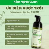  Sữa rửa mặt tạo bọt Rau má Cỏ Mềm 50ml 