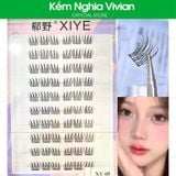  Mi Giả Tự Dính XY 