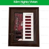  Set Gel Màu Suusee 10 chai 