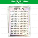  Mi Giả Tự Dính XY 