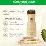  Dầu gội ngừa rụng, kích mọc tóc Arganmidas Anti-Hair Loss 300ml 
