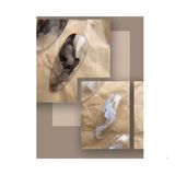  Cồn Loang Sữa Qingyou 