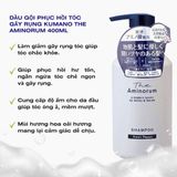  Dầu gội, dầu xả phục hồi tóc gãy rụng Kumano The Aminorum 400ml 