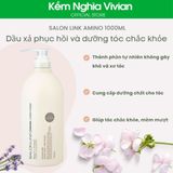  Dầu gội, dầu xả phục hồi và dưỡng tóc chắc khỏe Salon Link Amino 1000ml 