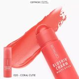  Má hồng dạng thỏi Catrice 