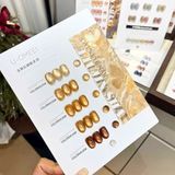  Set Gel Mắt Mèo U OMEEI 5 chai 