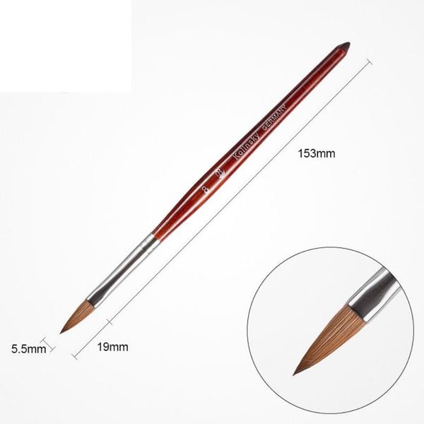  Cọ đắp bột nail BW-8, 10,12 