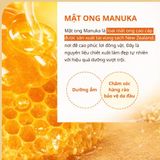  Dầu gội - xả cân bằng tự nhiên Kundal Honey & Maca 500ml 