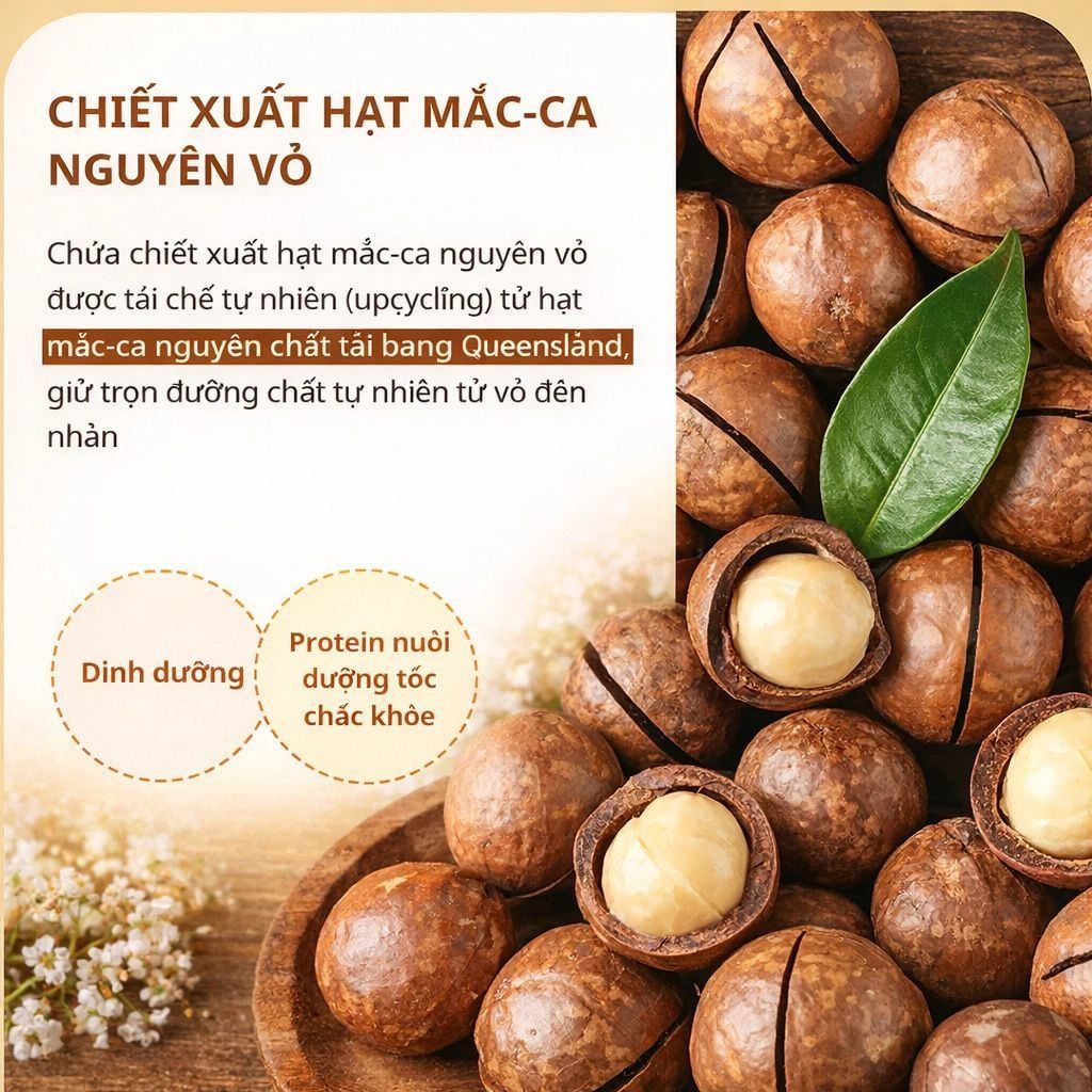  Dầu gội - xả cân bằng tự nhiên Kundal Honey & Maca 500ml 