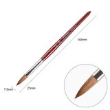  Cọ đắp bột nail BW-8, 10,12 