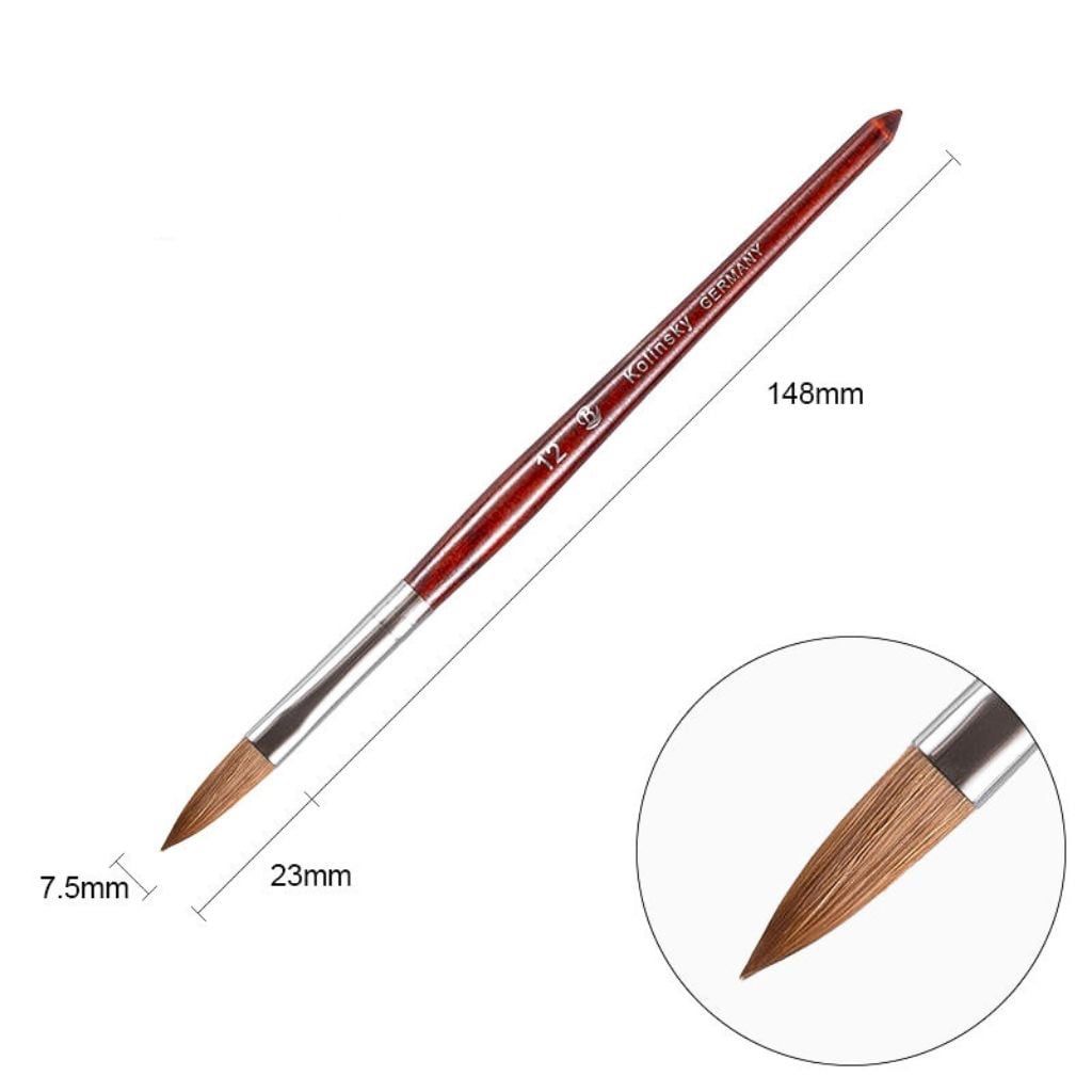  Cọ đắp bột nail BW-8, 10,12 