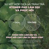  Toner Pad Rau Má Làm Dịu Và Phục Hồi Da Nhạy Cảm Neogen Dermalogy 