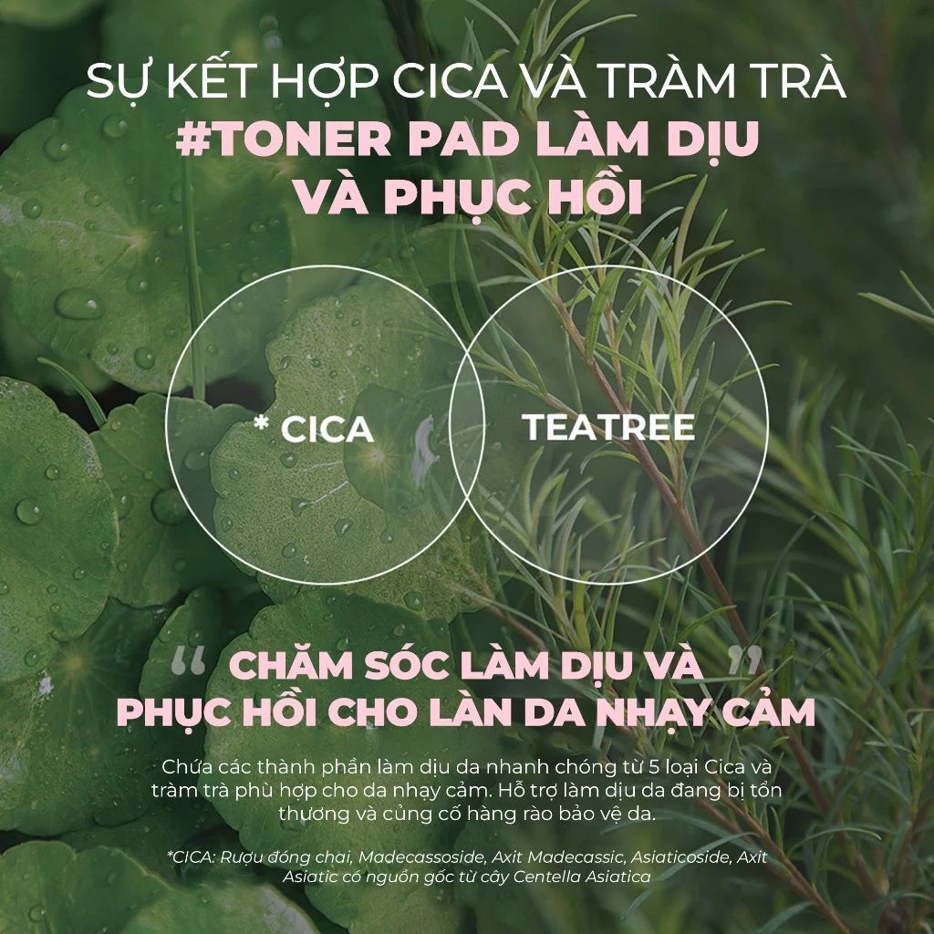  Toner Pad Rau Má Làm Dịu Và Phục Hồi Da Nhạy Cảm Neogen Dermalogy 