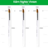  Cọ đắp bột nail cán trong BW-12, 14, 18 