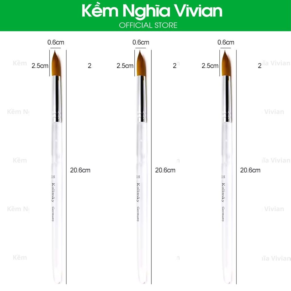  Cọ đắp bột nail cán trong BW-12, 14, 18 