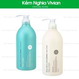  Dầu gội, dầu xả phục hồi và dưỡng tóc chắc khỏe Salon Link Amino 1000ml 