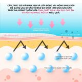  Toner Pad Rau Má Làm Dịu Và Phục Hồi Da Nhạy Cảm Neogen Dermalogy 