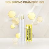  Son Dưỡng Môi Keo Ong CNP Propolis Derma Moisture Lip Balm 4g 