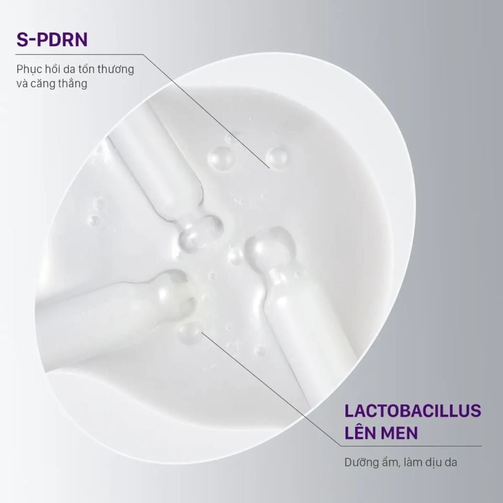  Tinh Chất PDRN Căng Bóng Sáng Da, Hỗ Trợ Tái Sinh CNP 30ml 