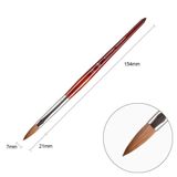  Cọ đắp bột nail BW-8, 10,12 