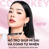  Mascara COLORKEY Hỗ Trợ Giúp Mi Dài Và Tơi, Tạo Cảm Giác Tự Nhiên, Nhanh Khô, Không Lem Trôi 