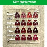  Set Gel Mắt Mèo Thu Đông Jiao Yan She 16 chai 