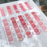  Set Gel Thạch Hồng Jiao Yan She 25 chai 