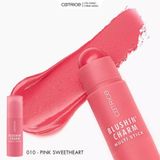  Má hồng dạng thỏi Catrice 
