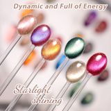  Set Gel Mắt Mèo Ánh Sao Cực Quang Vinimay 10 chai 