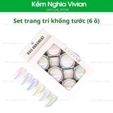  Set Trang Trí Khổng Tước (6 Ô) 