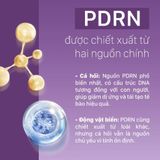  Tinh Chất PDRN Căng Bóng Sáng Da, Hỗ Trợ Tái Sinh CNP 30ml 